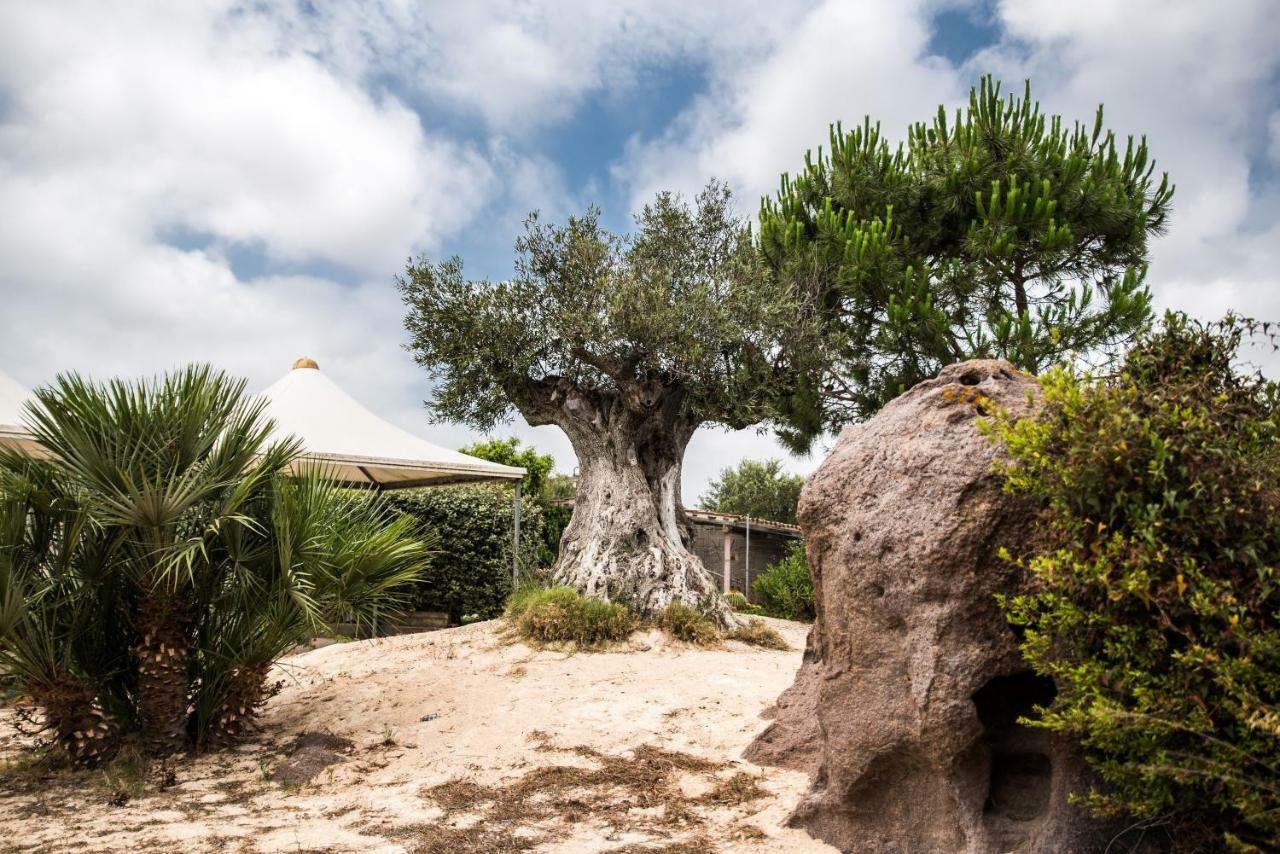 B&B Il Cenerino Sant'Antioco Bagian luar foto